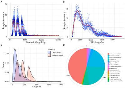 Frontiers | Full-length Transcriptional Analysis Reveals The Complex ...